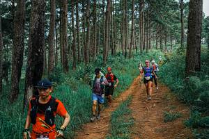 BIB: 
                            <button type="button" onclick="openModal(25671562)" class="btn btn-primary btn-sm float-right btn-popup" data-toggle="modal" data-target=".modal-high-quality">
                        <i class="fas fa-shopping-cart"></i> Add to Cart
                    </button>
                                            <button type="button" onclick="isThisMe(25671562, true)" class="btn btn-success btn-sm float-right btn-popup btn-isme hidden" data-toggle="tooltip" data-placement="bottom" title="นี่คือรูปของคุณใช่ไหม คลิกที่นี่เพื่อเอาเข้าอัลบั้ม">
                        <i class="fas fa-plus"></i> Add to album
                    </button>
                    <button type="button" onclick="isThisMe(25671562, false)" class="btn btn-warning btn-sm float-right btn-popup btn-isnotme hidden">
                        <i class="fas fa-ban"></i> Remove from album
                    </button>